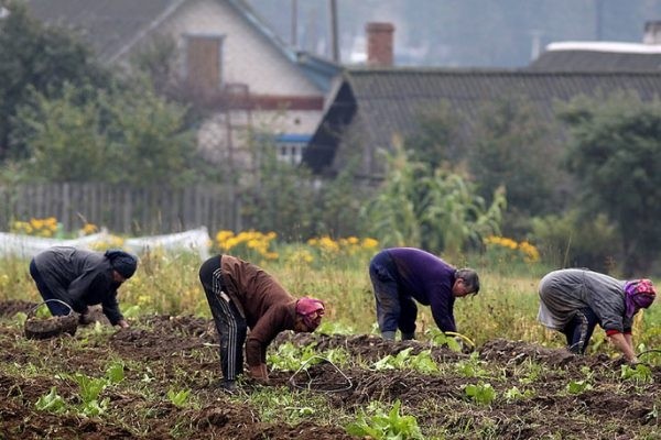 Есть ли жизнь в деревне? 11 причин, почему нужно отказаться от переезда в частный сектор Есть ли жизнь в деревне? 11 причин, почему нужно отказаться от переезда в частный сектор